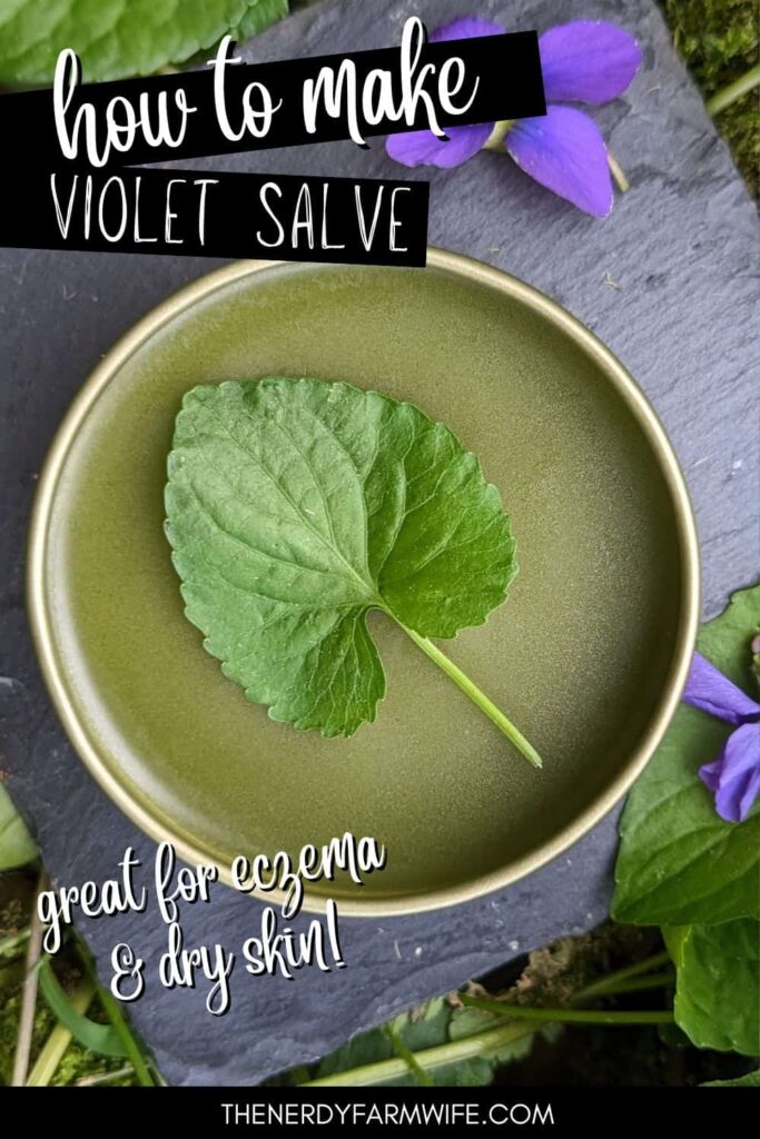 a tin of salve made from violet leaves that can be used for eczema and dry skin