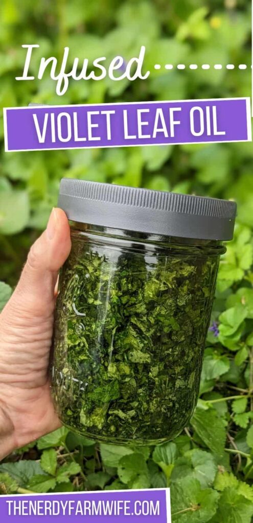 a woman's hand holding a jar of violet leaf infused oil