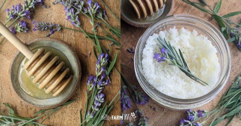 a small saucer and honey spoon with a homemade sugar scrub with lavender