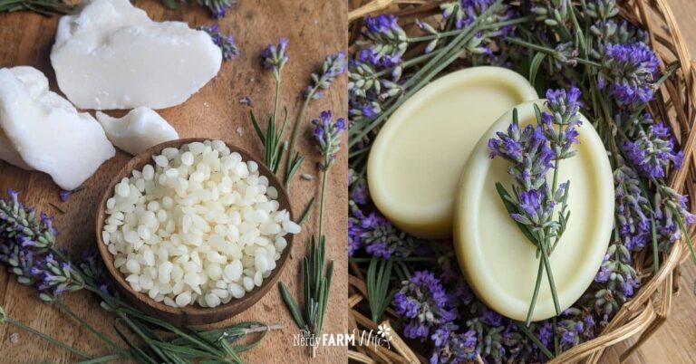 butters, beeswax, lavender flowers, and homemade lotion bars