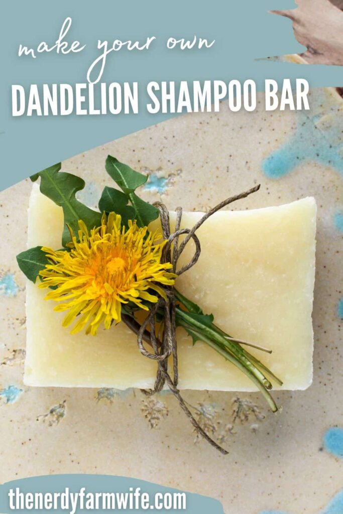 a bar of dandelion soap to be used for homemade shampoo bars