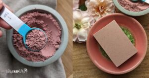 bowl of rose clay and a clay and oatmeal shower bar made with melt and pour soap