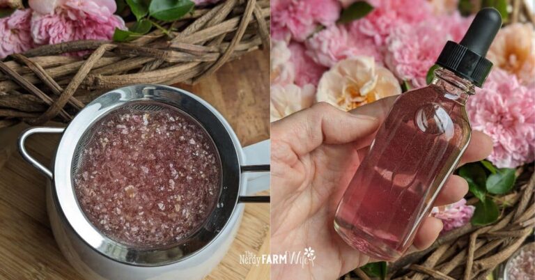straining rose glycerite, plus a finished bottle