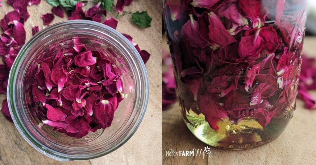 dried rose petals and rose infused oil