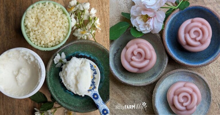 beeswax, shea butter, and homemade rose lotion bars