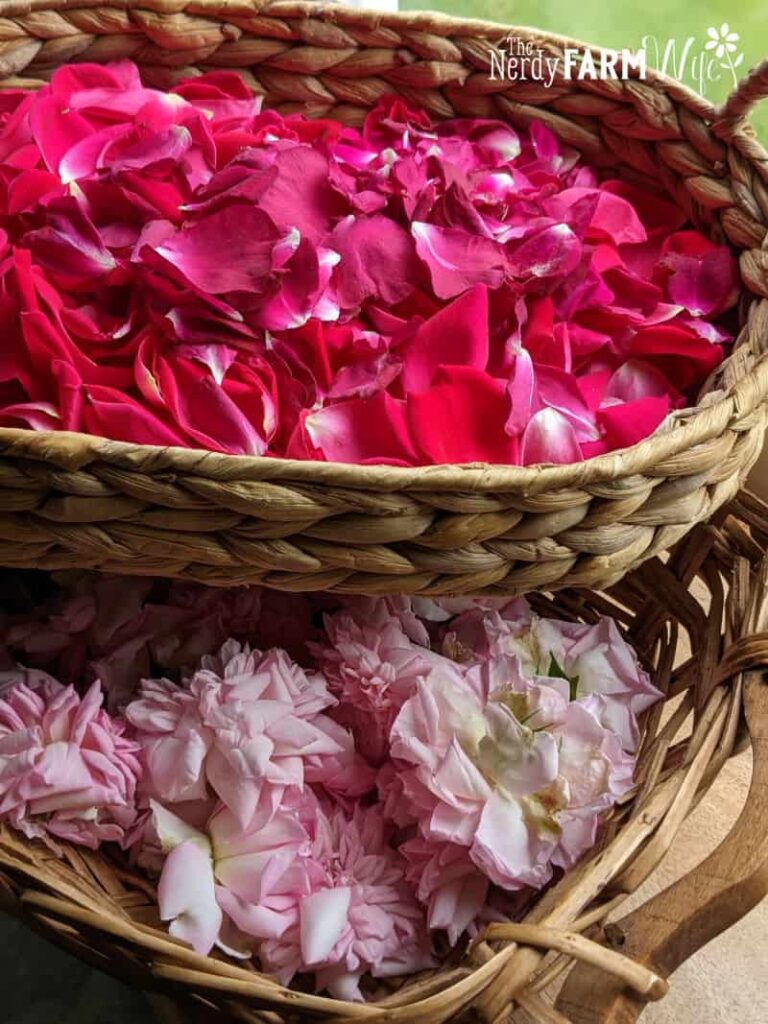 baskets of pale pink and bright magenta roses