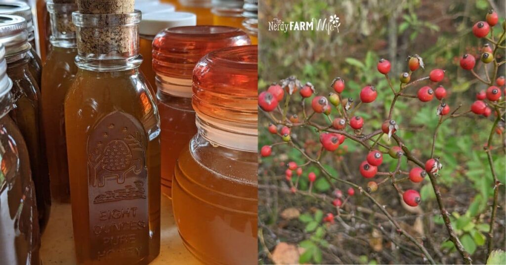 jars of honey and wild rose hips