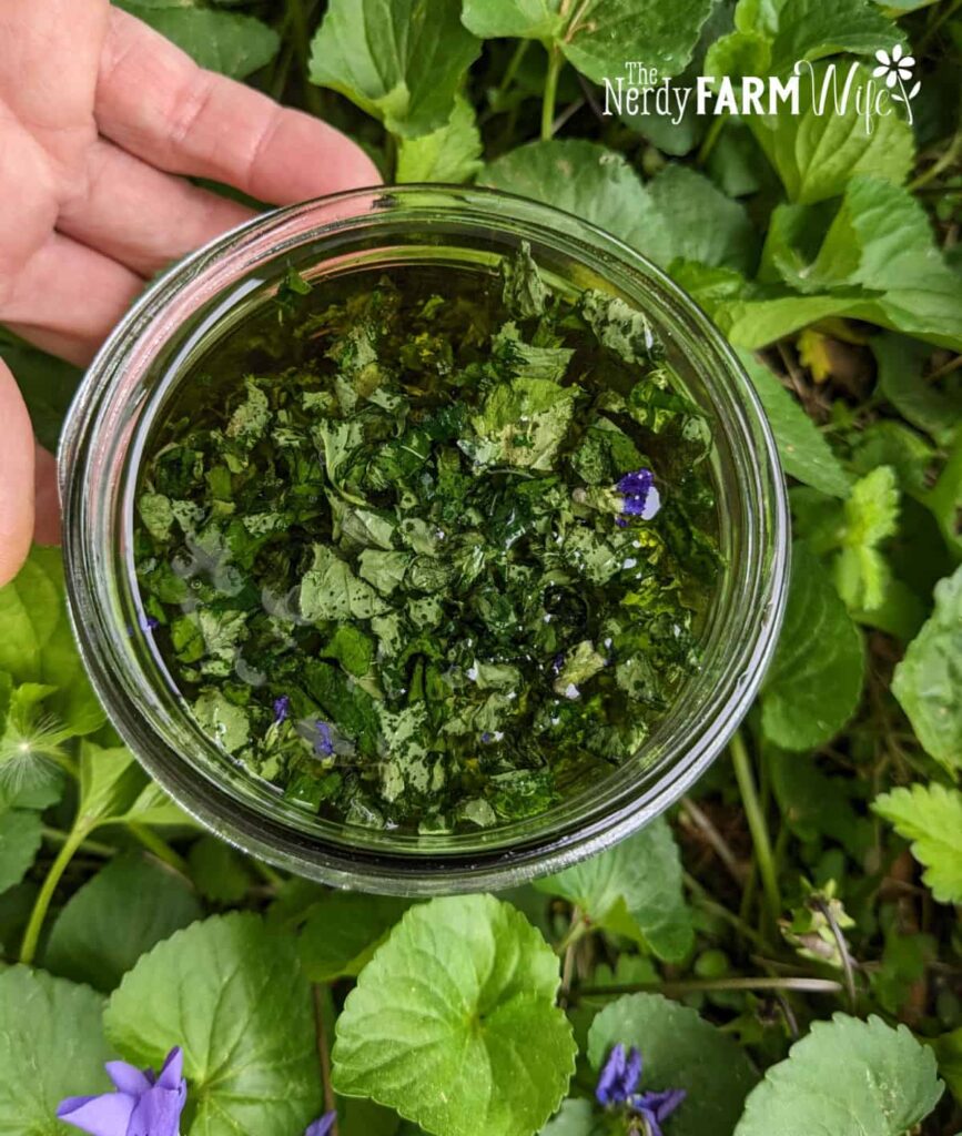 a top view of a jar of infused oil