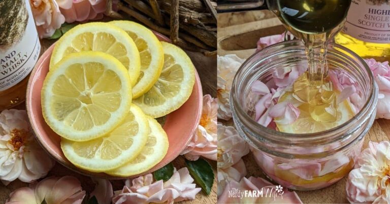 lemon slices with rose petals and honey