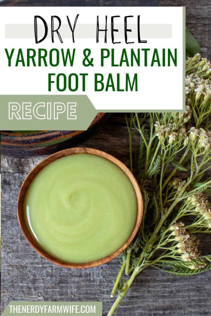 a small container of balm for dry heels