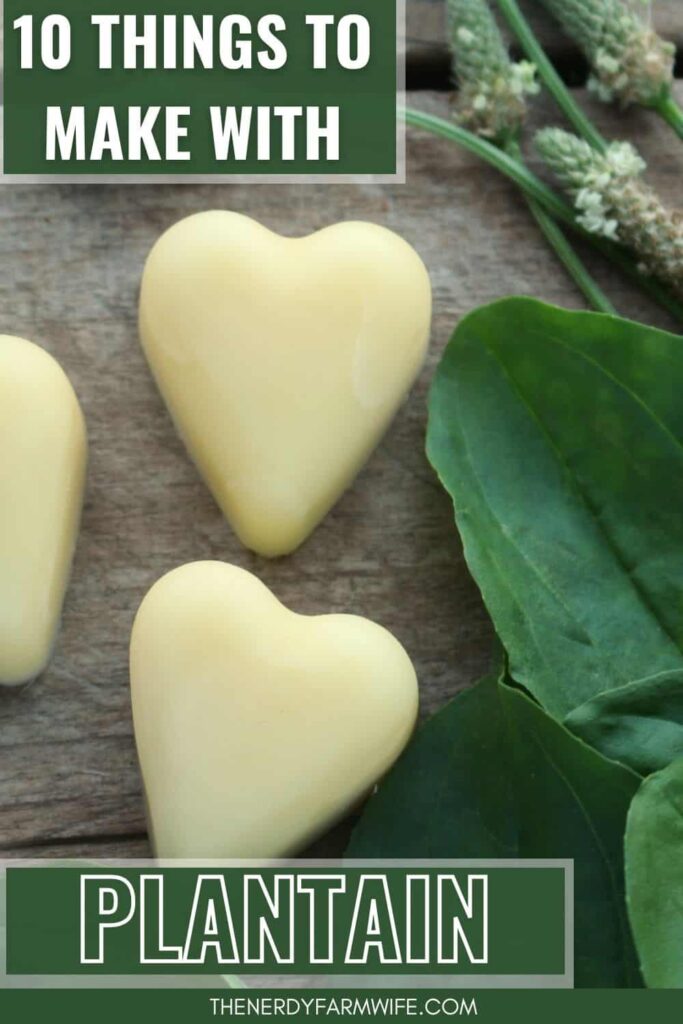 heart shaped plantain lotion bars