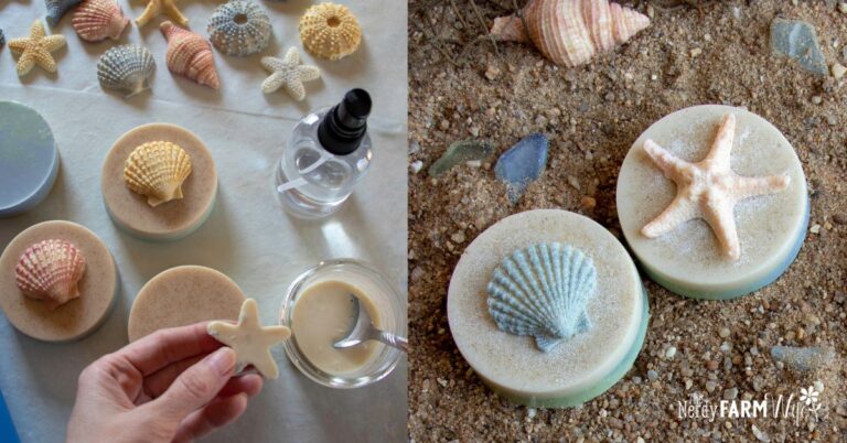melt and pour soaps with a beach theme and small seashell soap toppers