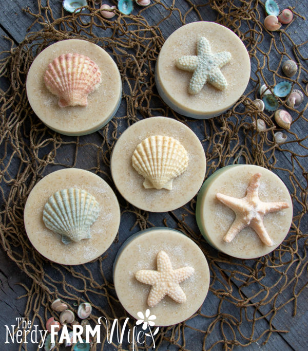 Beach bar soaps on top of a net, with small shells scattered at the edges