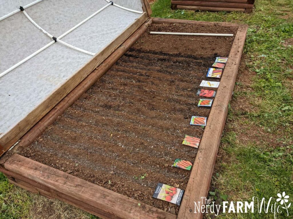 carrot seed bed with carrot seed packs laid out on top