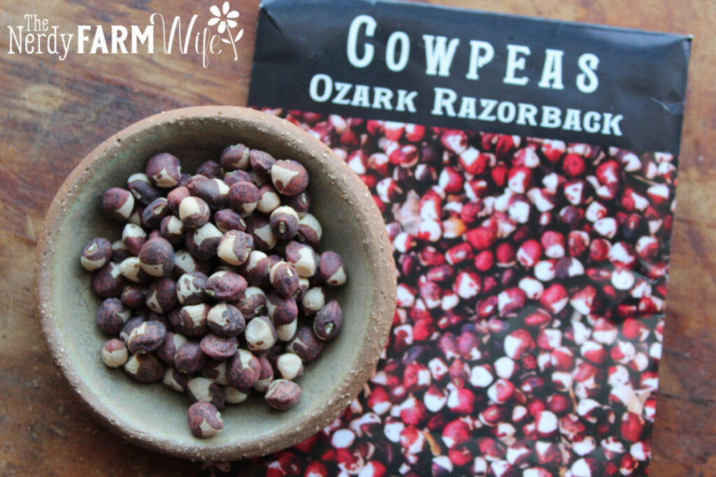 a bowl of cowpea seeds next to a pack