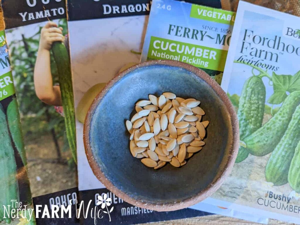 bowl of cucumber seeds in front of packets