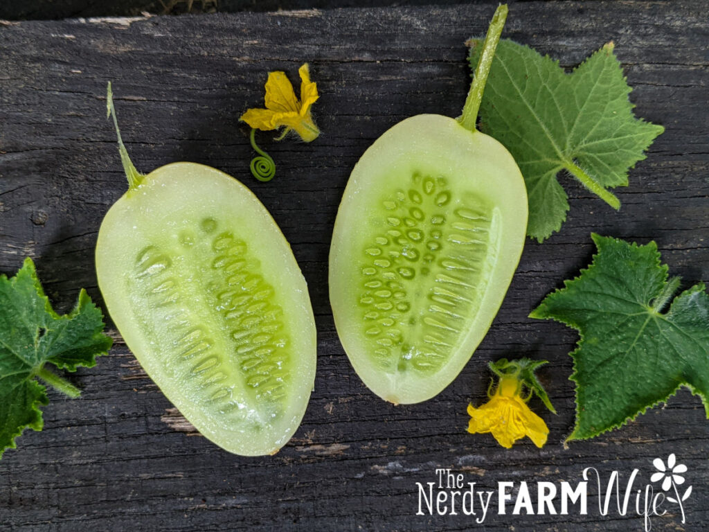 a split open dragon's egg cucumber on dark wood
