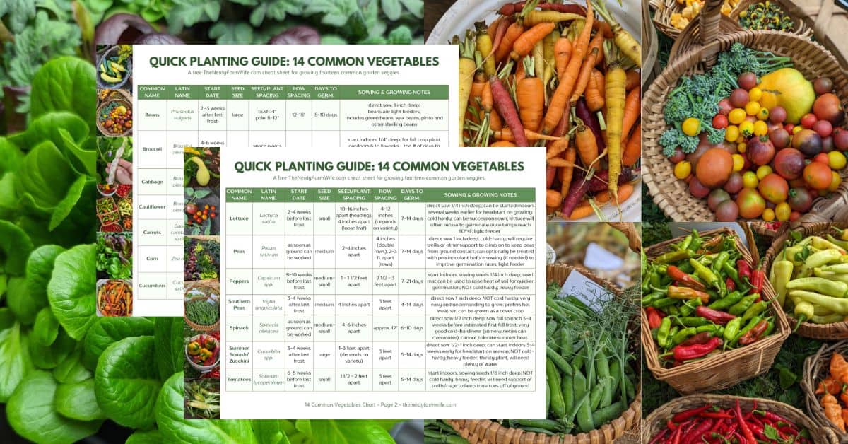 Growing 14 Common Garden Vegetables (+Free Printable!) growing-14-common-garden-vegetables-free-printable