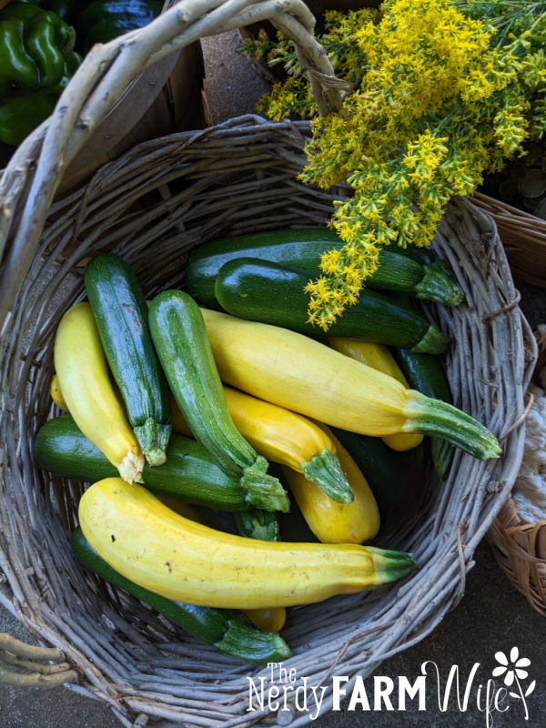 woven basket of yellow and green zucchini