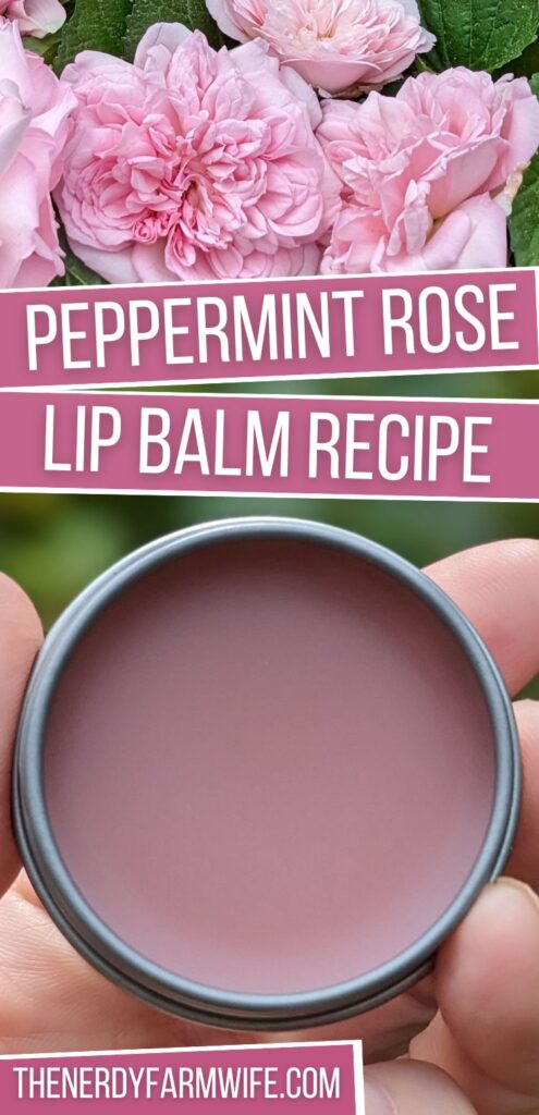 lip balm with rose petals and peppermint flavor recipe