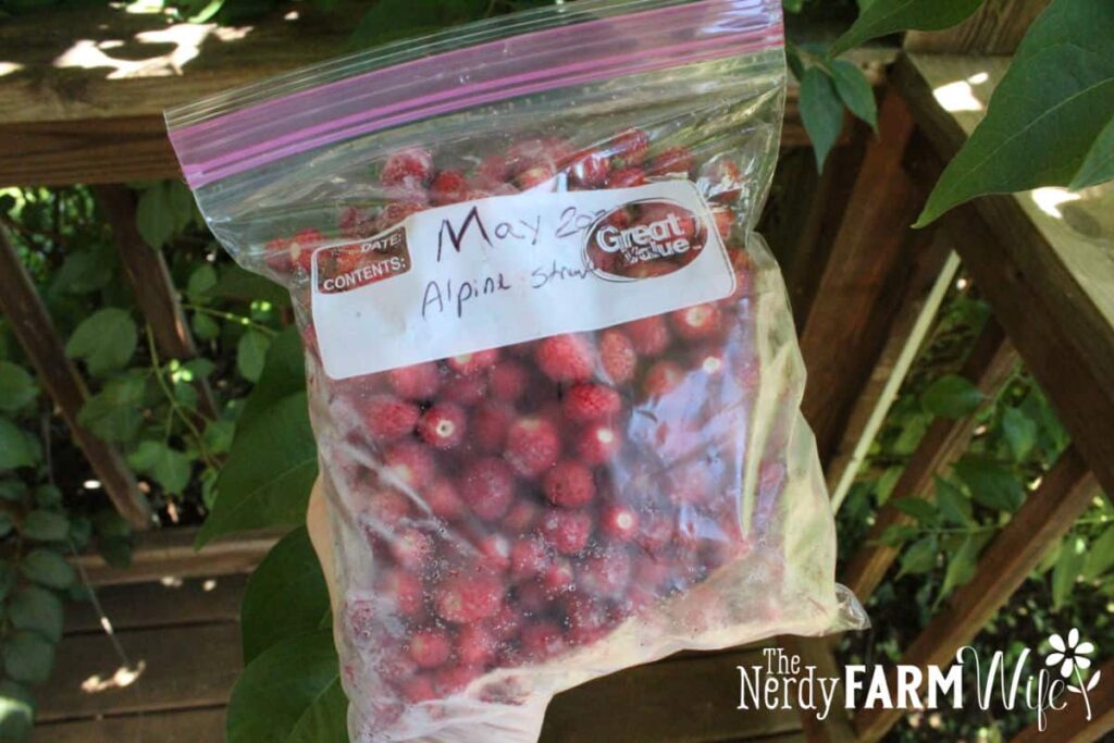 bag of frozen red alpine strawberries