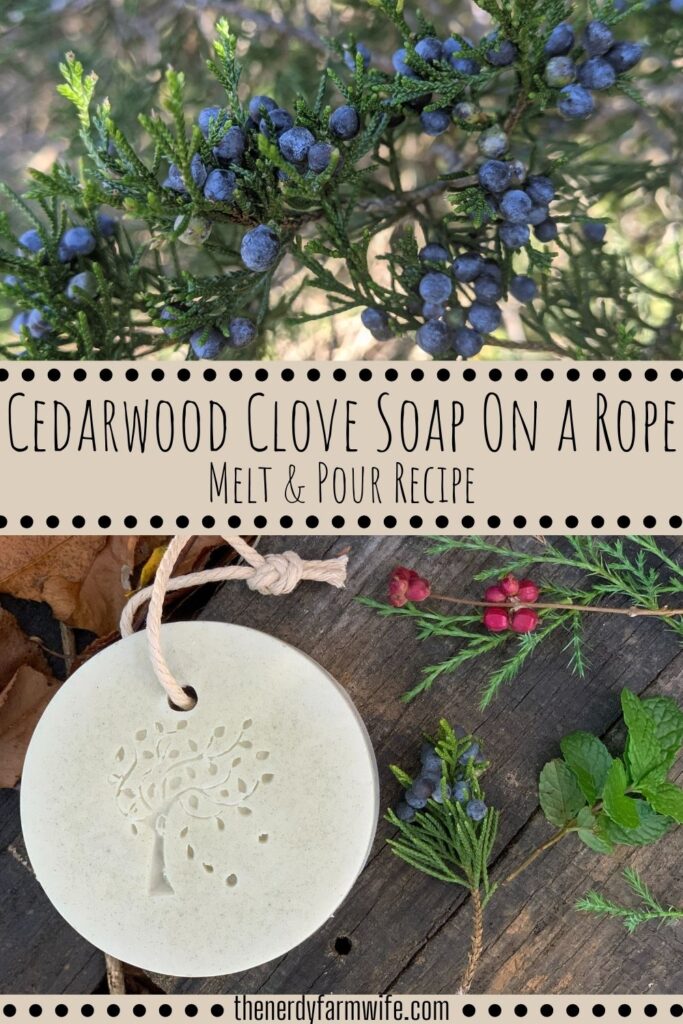 branch of evergreen tree with berries on top with soap on a rope laying on wood below