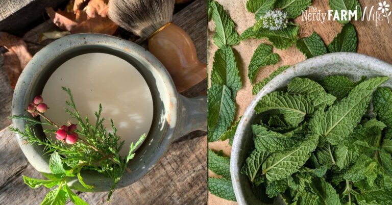 Round bar of soap in cup with shave brush and green sprigs on the left with a bowl of fresh mint leaves on the right