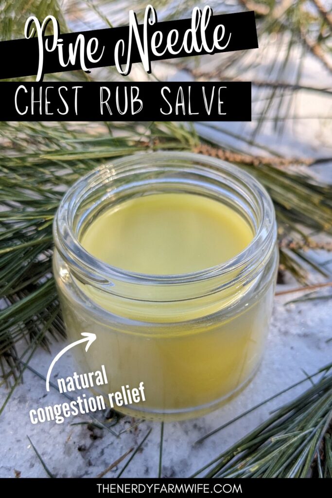 chest rub recipe in a glass jar that is sitting on snowy ground surrounded by pine needles
