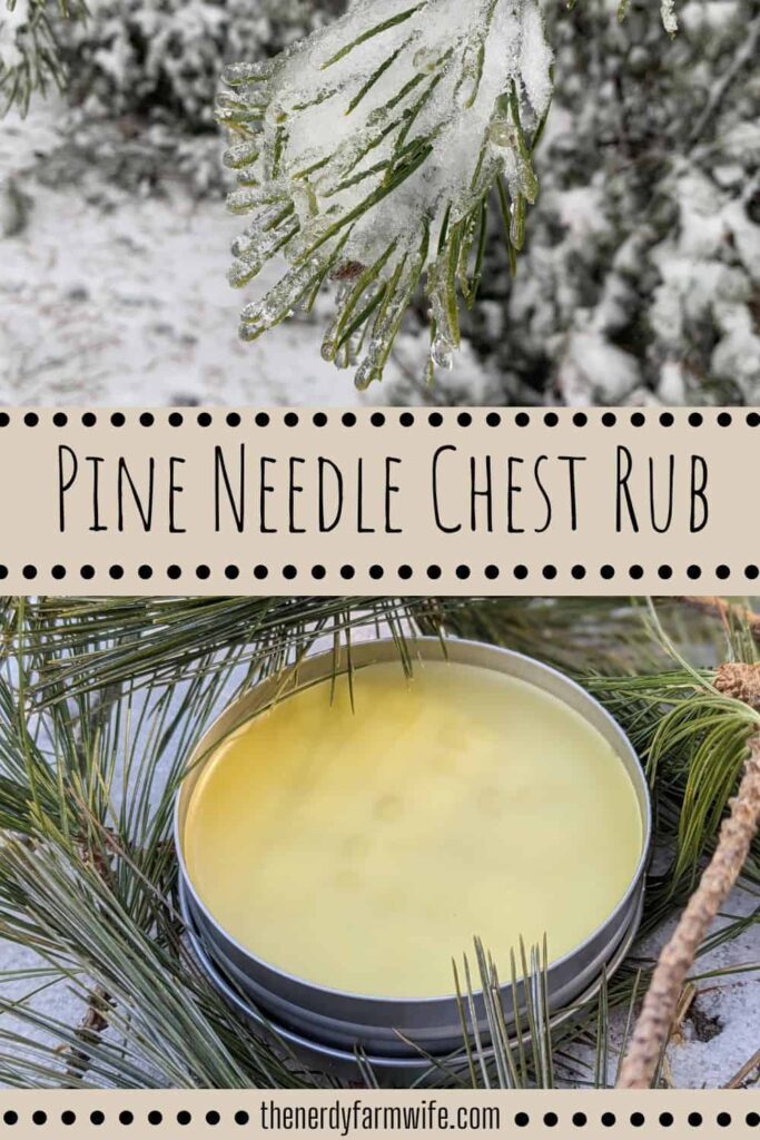 a cluster of icy pine needles and a tin of homemade chest rub