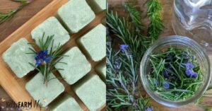 Squares of rosemary scrub cubes beside a jar of fresh chopped rosemary