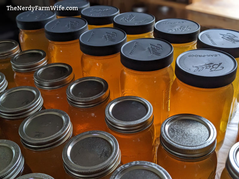 jars of freshly harvested honey