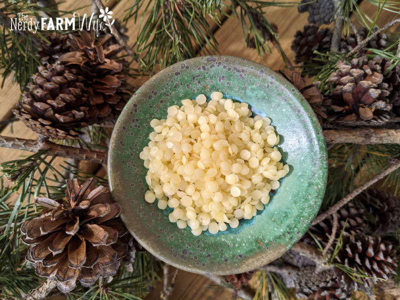 bowl of beeswax pastilles sitting on top of pine needles, branches, and cones
