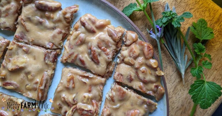 a plate with squares of easy honey nut candy made with pecans