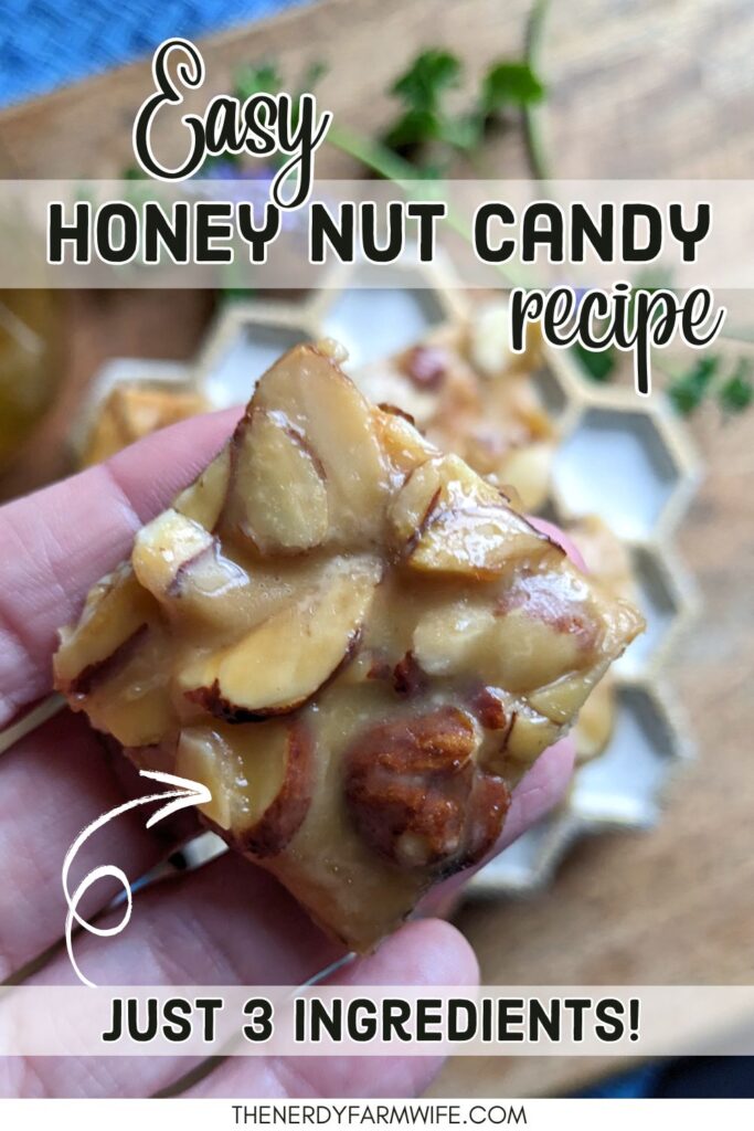 a square of easy honey candy made with nuts such as almonds, walnuts, or pecans