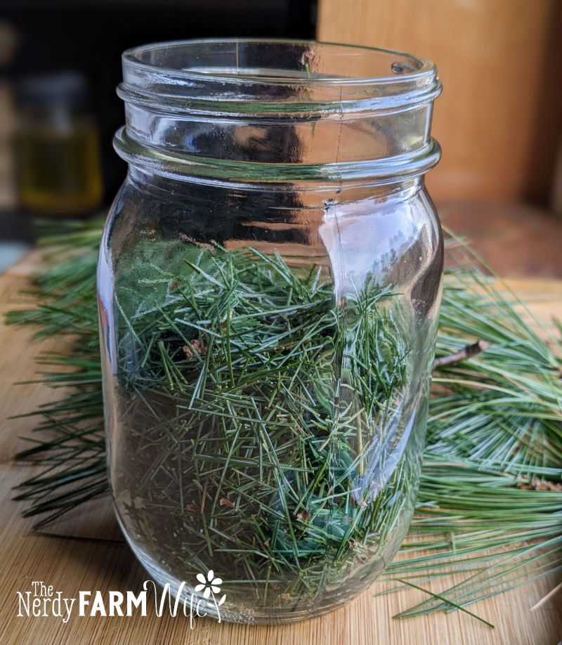 a glass canning jar filled approximately three fourths full with chopped pine needles