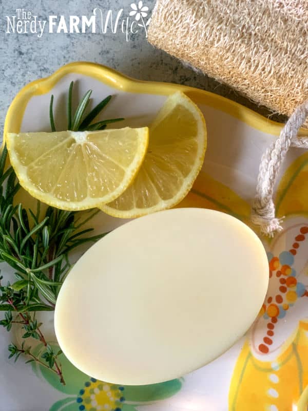 bar of dish soap with lemon slices and loofa