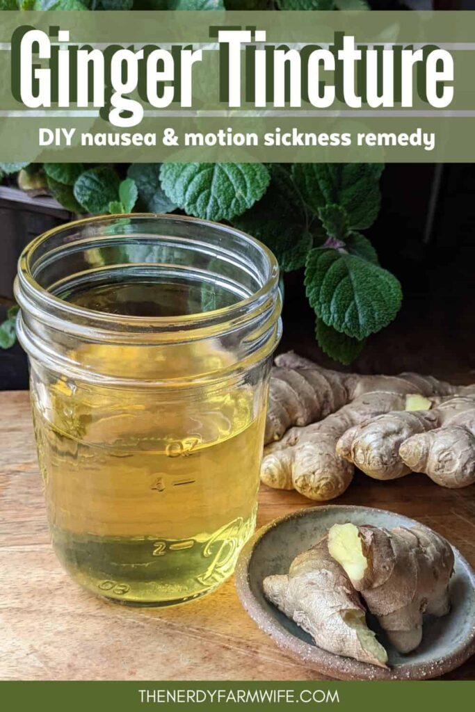 a jar of homemade ginger tincture herbal remedy
