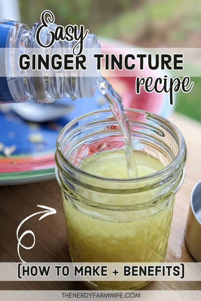 a jar of ginger tincture in the process of being made