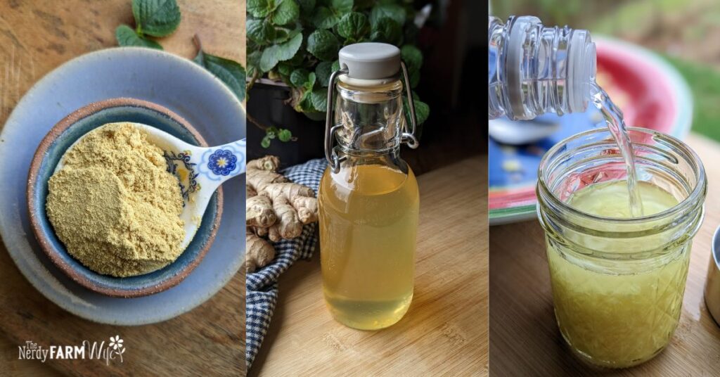 ground ginger, syrup, and tincture