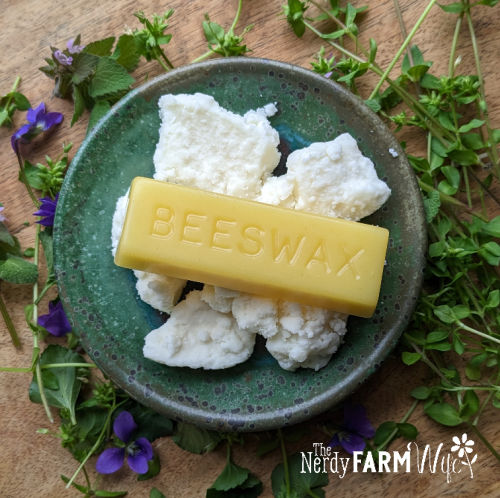 mango butter with a bar of beeswax surrounded by fresh violets and chickweed