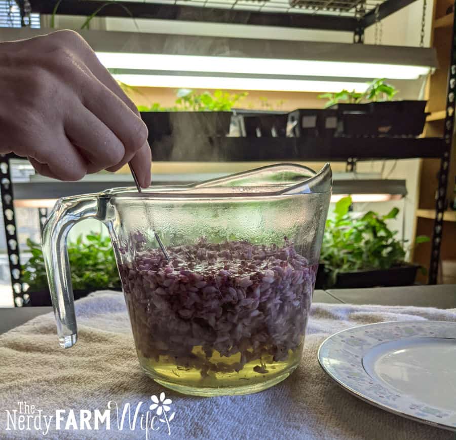 Redbud flowers being stirred in boiling water in a glass pitcher