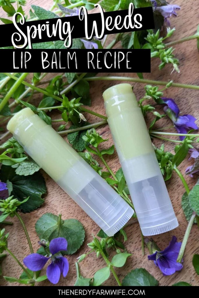 lip balm surrounded by fresh violets, chickweed, and purple dead nettle