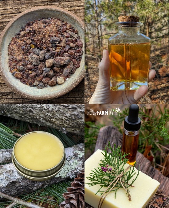 pine resin, infused oil, salve, and soap