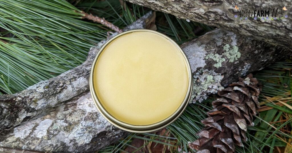 a tin of yellow salve perched on the branch of a pine tree. A pine cone and pine needles are visible underneath the branch.