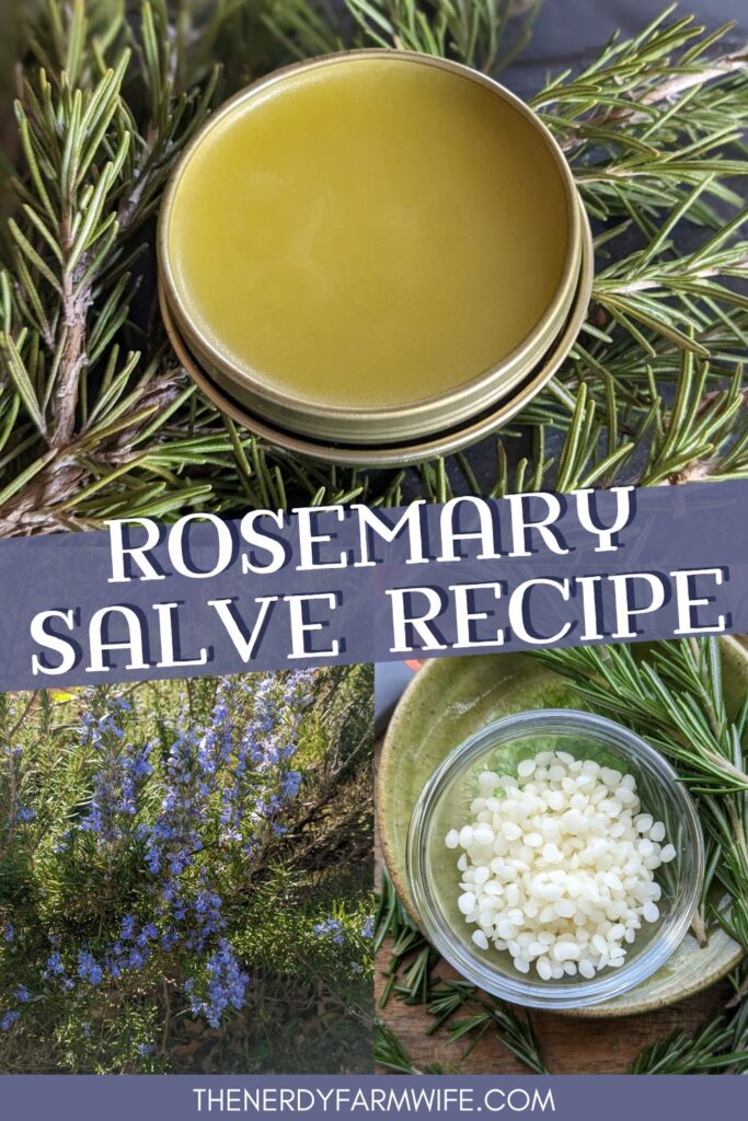 pinterest pin for rosemary salve. the upper image is of a yellow tin of salve, and the lower two images are of flowering rosemary and a bowl of white beeswax next to a rosemary branch.