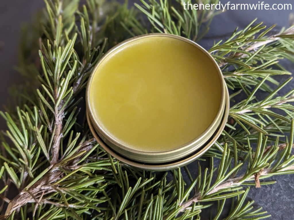 tin of yellow salve sitting on top of rosemary branches.