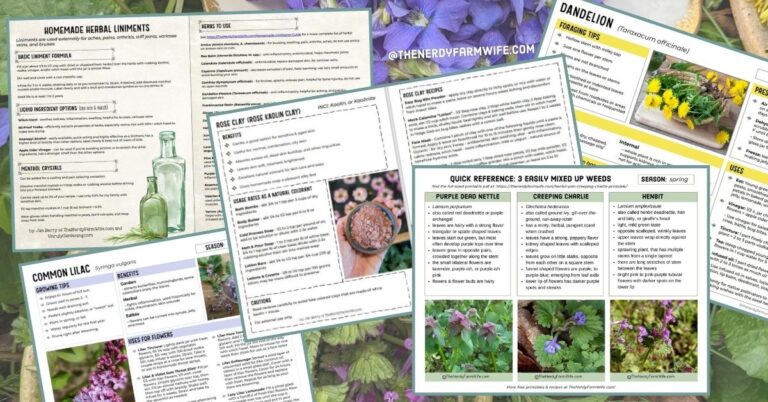 several printable herbal reference sheets
