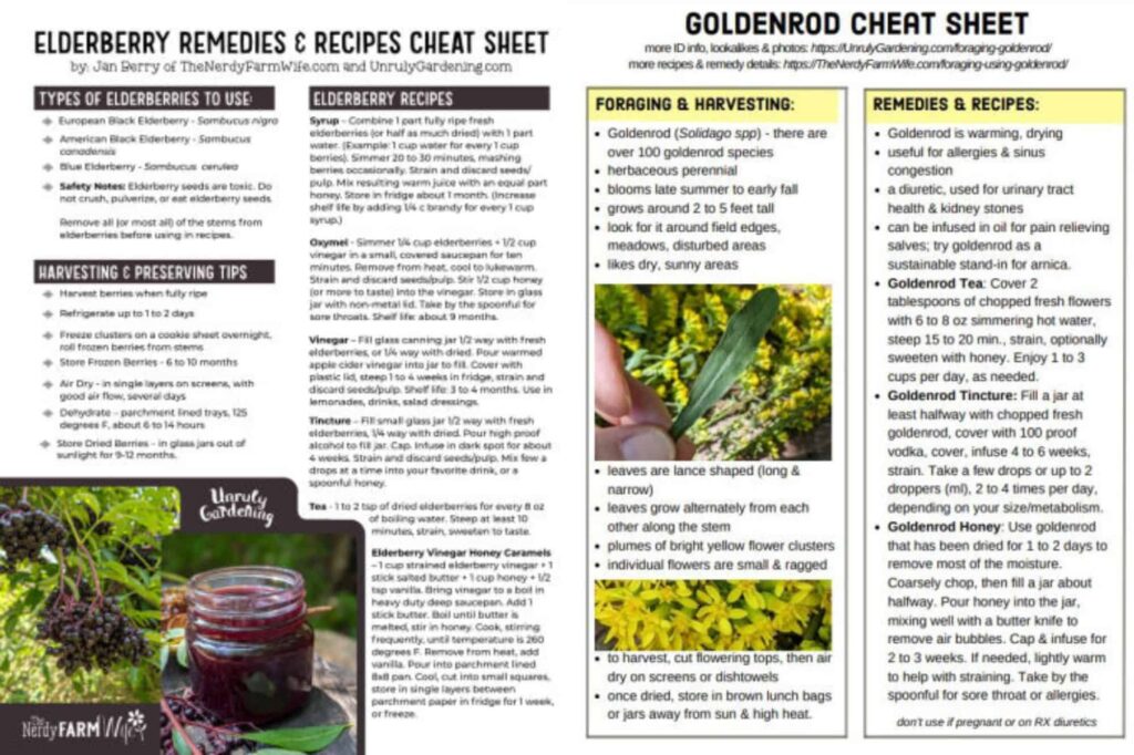 goldenrod and elderberry printables from Unruly Gardening website